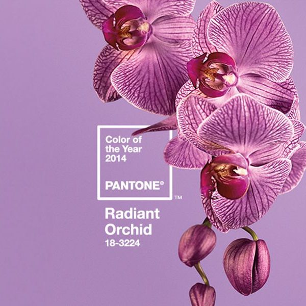 Il colore dell'anno secondo Pantone
