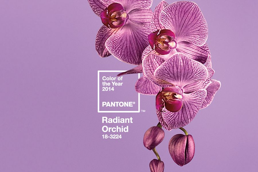 Il colore dell’anno secondo Pantone Il colore dell'anno secondo Pantone